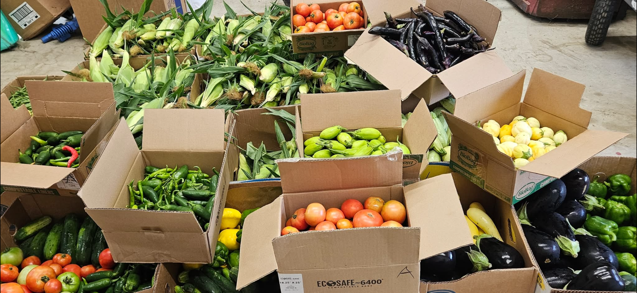 Harvested produce boxes